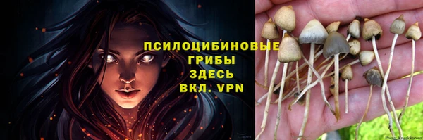 кристаллы Бородино