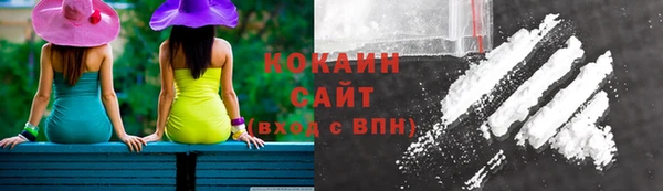 спиды Богородицк