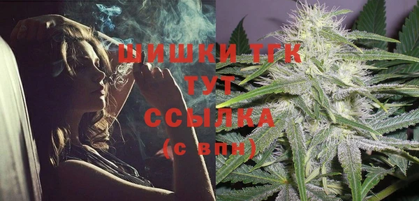 mdpv Богданович