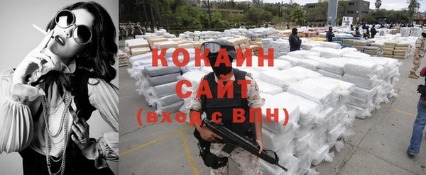 спиды Богородицк