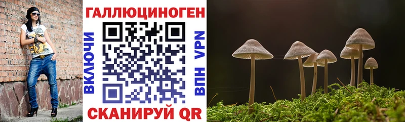 blacksprut ссылки  Люберцы  Галлюциногенные грибы мицелий 